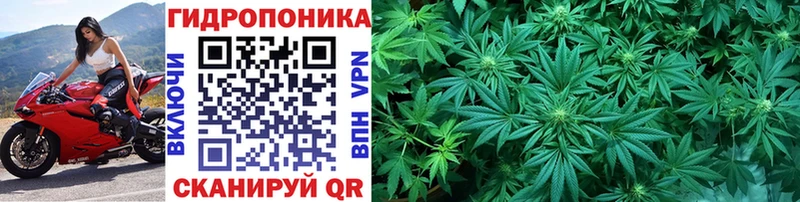 Где можно купить наркотики Сухой Лог МАРИХУАНА Мефедрон Кокаин ГАШИШ