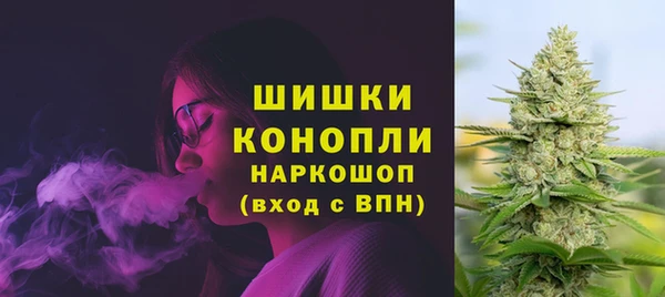 spice Арсеньев