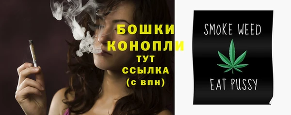 spice Арсеньев