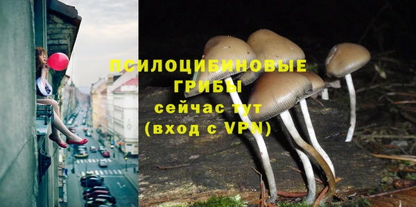 мескалин Аркадак