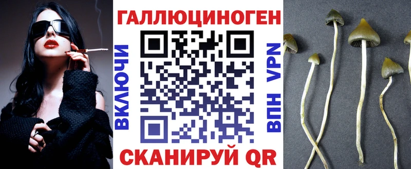 Псилоцибиновые грибы Psilocybe  где продают наркотики  Сухой Лог 